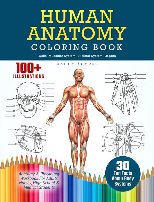 Human Anatomy Coloring Book for Advanced Physiology Learning by Danny Snyder