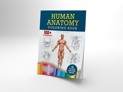 Human Anatomy Coloring Book for Advanced Physiology Learning by Danny Snyder