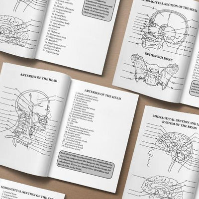 Human Anatomy Coloring Book for Advanced Physiology Learning by Danny Snyder