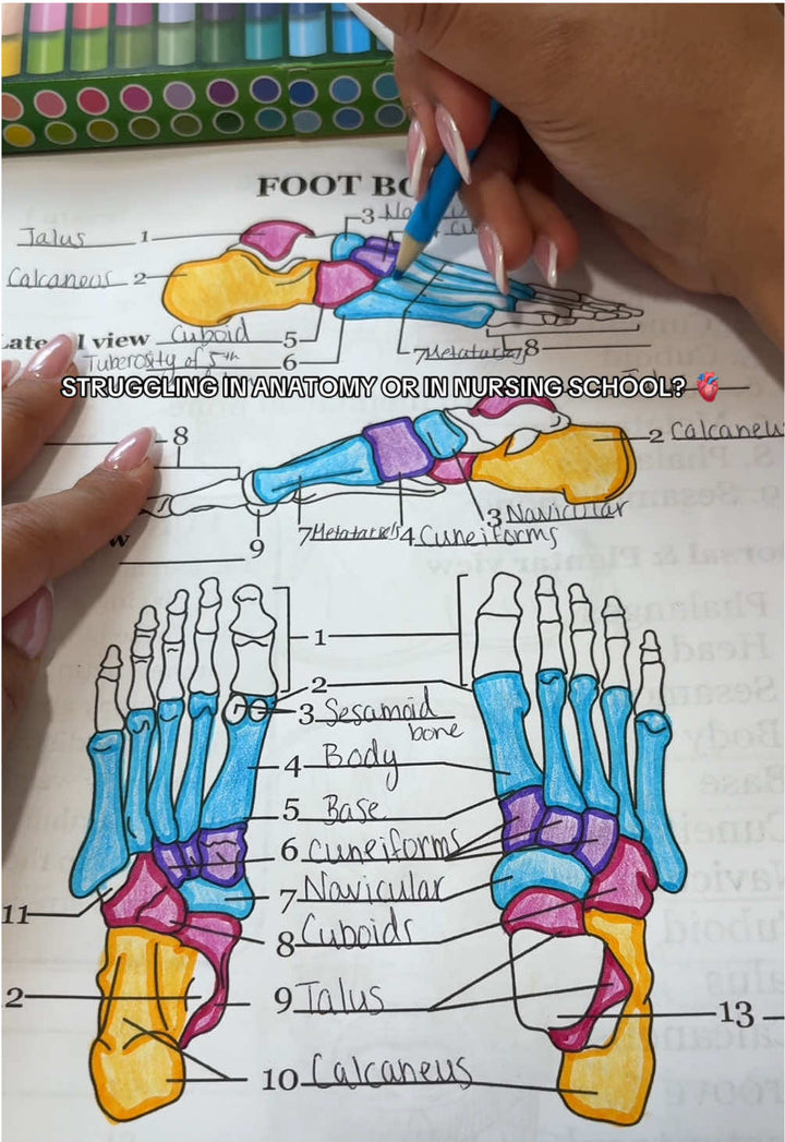 Review by Dorothy M